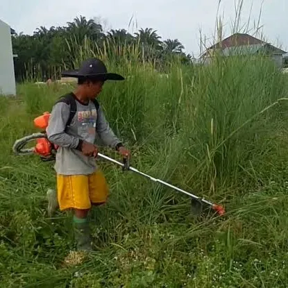 jasa potong rumput